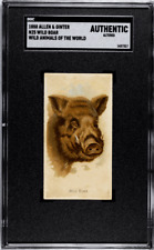 1888 N25 Allen & Ginter Wild Boar Wild Animals of the World SGC Authentic