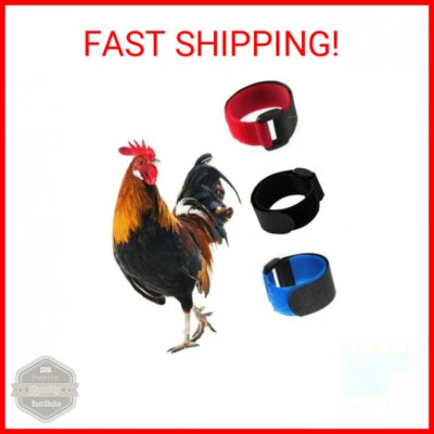 Paquete de 3 collar de gallo sin cuervo, collar de pollo anti-gancho banda para el cuello sin ruido sin C Foto 1 de 2