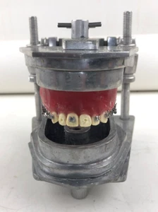 Articulador Dental Orto Central, solo con dientes superiores, para practicar brackets etc. - Imagen 1 de 8