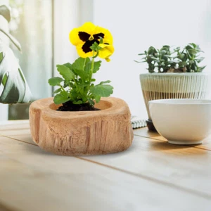 Wood Flower Pot Stump Succulent Pot Tree Plant Nursery Pot Wooden Succulent Pot - Picture 1 of 12
