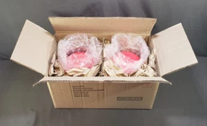 2 bancos de monedas Pokeball de cerámica Pokemon en estuche original nuevos/caja abierta - Imagen 1 de 16