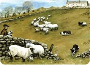 Sheep Tuftop Worktop Saver Glass Chopping Board Various sizes - Picture 1 of 1