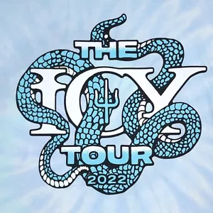 Twenty One Pilots Icy Tour Shirt Gr. 2XL Blau Batik Kurzarm Dual Graphic - Bild 1 von 11