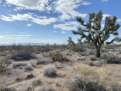 Terreno no Arizona à venda - 40 acres  - Imagem 1 de 4