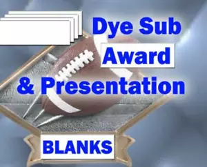 2" x 3" Aluminum Sublimation Blanks- Award, Trophy Plate or Badges/100PC - Picture 1 of 1