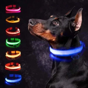 LED Glowing Dog Collar Adjustable Flashing Rechargea Luminous Collar Night Anti- - Picture 1 of 65