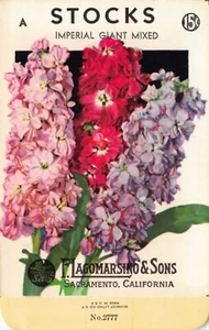 Vintage Seed Packet: Mixed STOCKS, Lagomarsino & Sons, Sacramento, 1940's - Picture 1 of 2
