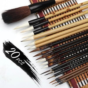 20 PCS Writing Brush Chinese Calligraphy Brush Set Kanji Japanese Sumi Painti... - Picture 1 of 7