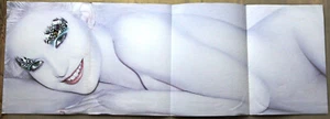 Original Poster Kate Hudson & Chris Robinson von Matthias Vriens 93x32cm 2001 @EX - Bild 1 von 2
