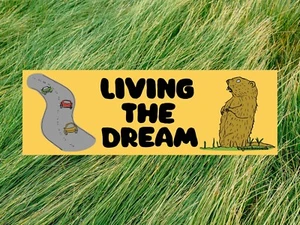 Groundhog Sticker, Living the Dream, Funny Bumper Stickers, Marmot Sticker 9"X3" - Picture 1 of 4