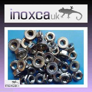 M6 STAINLESS STEEL SERRATED FLANGE HEX HEXAGON NUTS GRADE A2 304 FLANGED METRIC - Picture 1 of 11