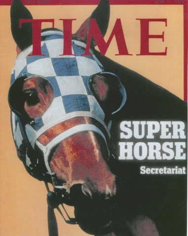 1973 Time Magazine - SECRETARIAT poster in NEW, UNUSED, MINT Condition Cover