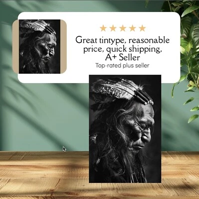 Индейский тонип ограниченный выпуск музейная серия C00344RP - Изображение 1 из 3