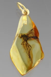 BIG Fossil SNIPE FLY Genuine BALTIC AMBER Gold Plated Silver Pendant 251112-15 - Picture 1 of 8