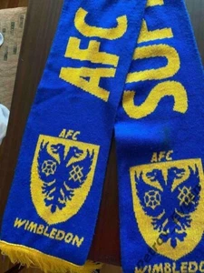 Scarf Wimbledon England - Picture 1 of 1