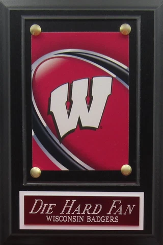 DIE HARD FAN WISCONSIN BADGERS LOGO CARD PLAQUE FOR YOUR MAN CAVE WALL DECOR Cover