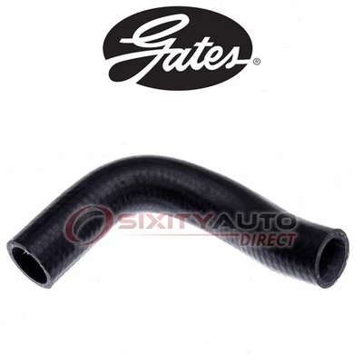 Gates Lower Radiator Coolant Hose for 2003-2005 Kia Rio 1.6L L4 - Antifreeze ob - Imagem 1 de 4
