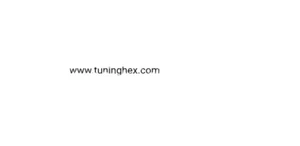 Tuning File Support Unterstützung für Tuning-Dateien - Zdjęcie 1 z 2
