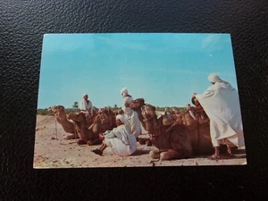 Tunesien - Postkarte 1976 Nefta Tozeur (Chamelier) (B30) - Bild 1 von 2