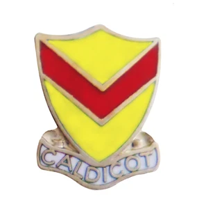 Caldicot Town Wales Crest Small Pin Badge - Picture 1 of 3