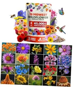 Midwest Wildflower Seeds Mix 4oz | 65,000 Non-GMO, USA Sourced, High - Picture 1 of 8