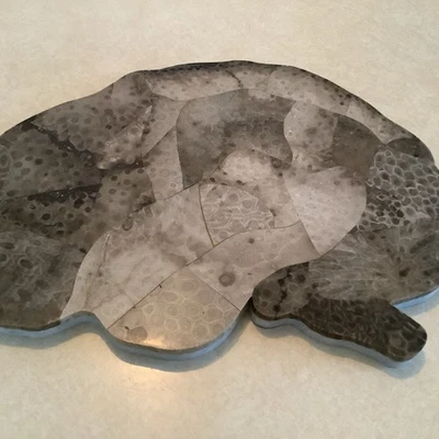 Remache de mármol, piedra Petoskey / pieza central “forma de cerebro” o nube de cotización Foto 1 de 4