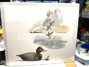 Vintage rare1980 Robert W. Hilty signed Print #`173 of 750 Elmer Crowell Redhead - Picture 1 of 7