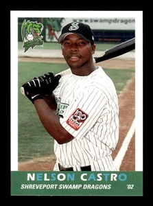 2002 Grandstand Shreveport Swamp Dragons #6 Nelson Castro NM Near Mint BXCP06 - Picture 1 of 2