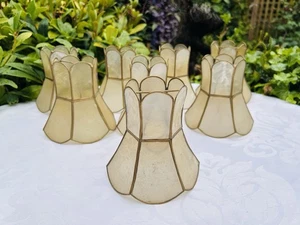 Vintage Capiz Shell Set of 8 Small Lamp Shades Clip On Mid Century 12.5cm / 8" - Picture 1 of 9