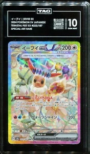 TAG 10 Eevee ex 223/187 SAR Terastal Festival Special Art Rare Pokemon Card - Picture 1 of 1