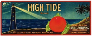 ORIGINAL CRATE LABEL FLORIDA C1930 HIGH TIDE MODELLO NAUTICAL LIGHT HOUSE RARE+ - Picture 1 of 1