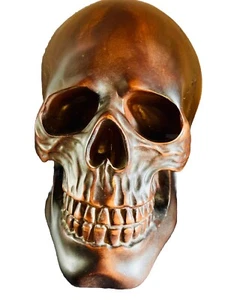 Replik menschlicher Schädel Holzoptik Harz lebensgroß Halloween Dekor 6x8x5" realistisch - Bild 1 von 17