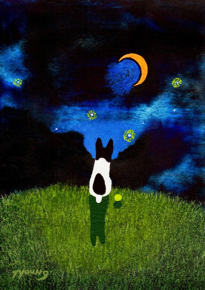 RAT TERRIER Dog Jack Russell Parson Fox Folk Art PRINT Todd Young STARRY SKY - Image 1 of 1
