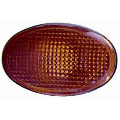 43380 FRECCIA GRUPPO OTTICO LATERALE FORD TRANSIT 2000>2003 - Immagine 1 di 4