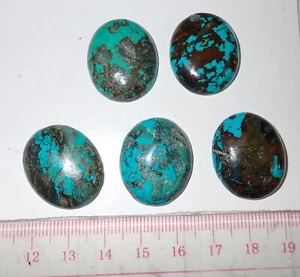 Turquoise Stone Oval 25x21 mm Flat Cabochon 105 Carat 5 pieces 21 gram Lot A - Picture 1 of 7