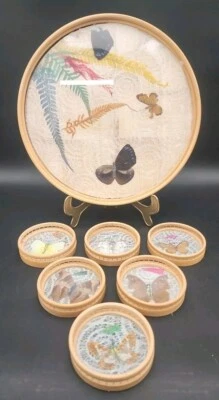 ROC BAMBÚ BANDEJA REDONDA PARA SERVIR 6 POSAVASOS JUEGO TAPA DE VIDRIO HELECHO SECO MARIPOSA REAL  Foto 1 de 4