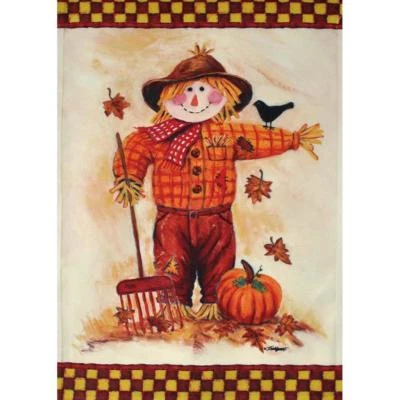 ESPANTAPÁJAROS 28" X 40" BANDERA PORCHE 10-3101-241 LLUVIA O SOL OTOÑO ESTACIONAL Foto 1 de 2