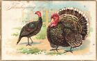 Postcard Tuck's Thanksgiving Greetings Holiday Turkeys 1909 by R.J. Wealthy Art