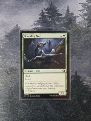 Bounding Wolf Innistrad: Midnight Hunt Regular - Image 1 of 2