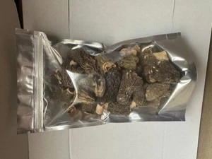 100g Morcheln Spitzmorchel Morchela Conica Top Aroma + Qualität Gourmet Edelpilz - Bild 1 von 1
