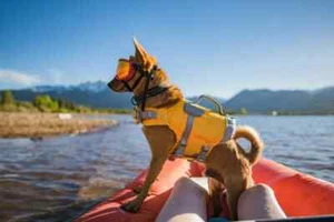 HURTTA SWIMMER LIFE SAVIOR JACKET ORANGE DOG FLY VEST ORANGE SIZE 0-10 LBS - Picture 1 of 12