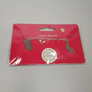 Peter Rabbit Childrens Girls Charm Bracelet Beatrix Potter Gift Jewelry Set - Picture 1 of 2