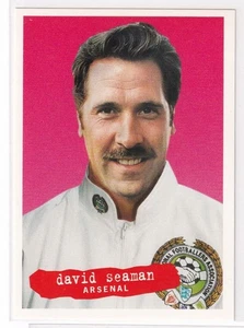 DAVID SEAMAN * ARSENAL 1996-97 Panini PFA English Soccer Card #224 - Bild 1 von 1