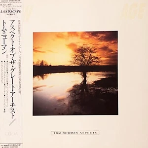 [Limited Edition] Tom Newman "Aspects" Vinyl LP - Picture 1 of 8