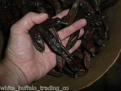 Carob Pods & Seeds, whole, wild-crafted "St. John's bread" raw, chocolate flavor - Image 1 of 4
