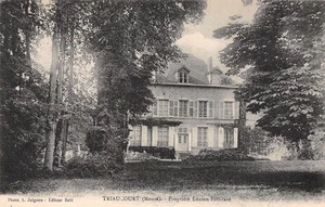 55-TRIAUCOURT-N�T2930-D/0009 - Picture 1 of 2