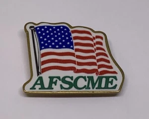 AFSCME Federation State County Municipal Employee American USA US Flag Pin (151) - Bild 1 von 2