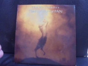 THE WATERBOYS " THE RETURN OF PAN " 7" EX+ COND.IN PIC SL. - Imagen 1 de 2