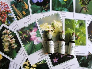 FIORI di BACH e/o AUSTRALIANI preparazione 50ml - Foto 1 di 1