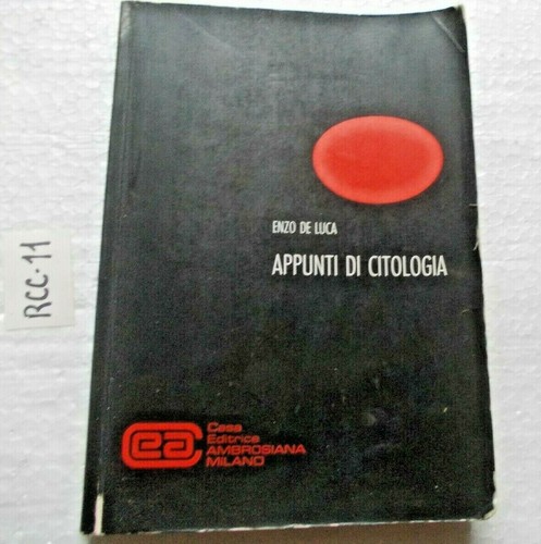 Foto 1 di 1